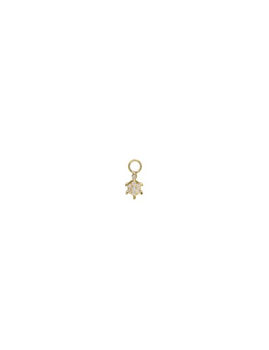 Charm BO Tortue