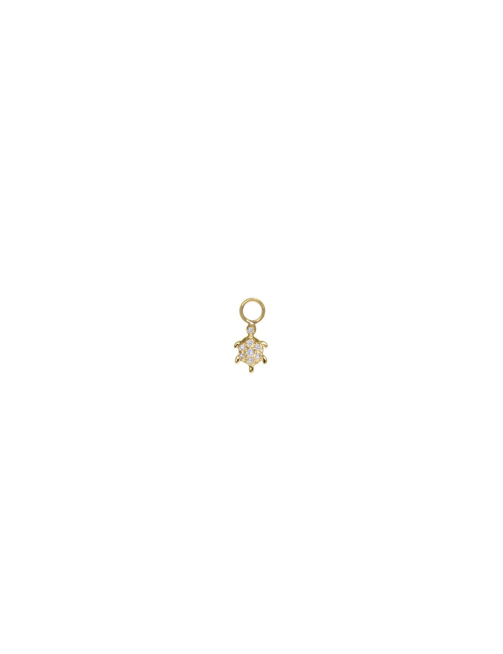 Charm BO Tortue