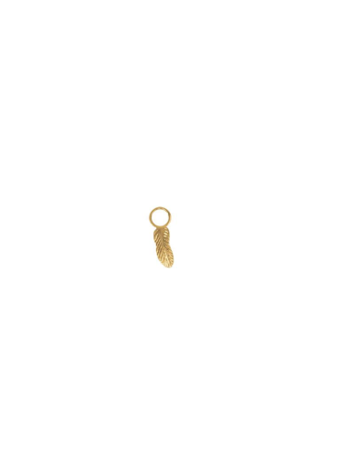 Charm BO Plume