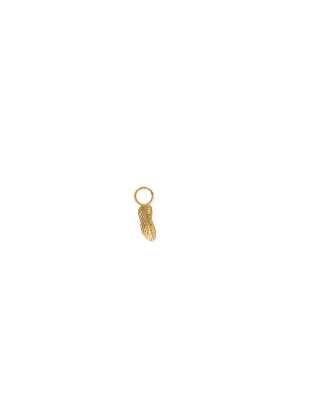 Charm BO Plume
