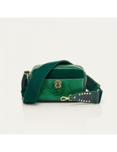 Lily Vert Pelouse