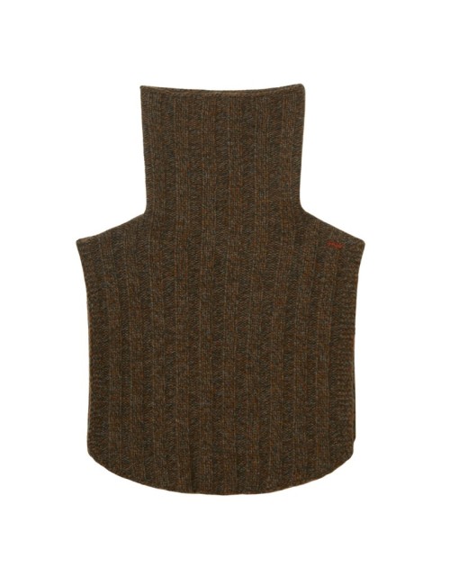 Plastron Rust