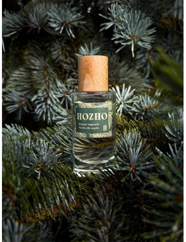 Pluie Sapin 50 ml