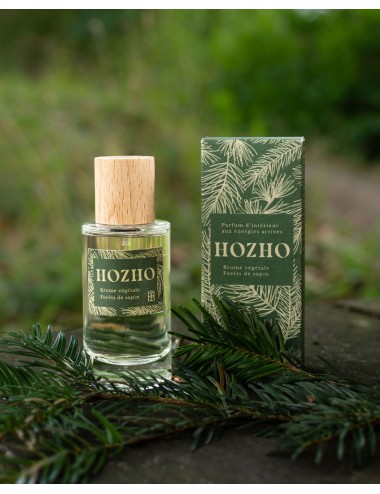 Pluie Sapin 50 ml