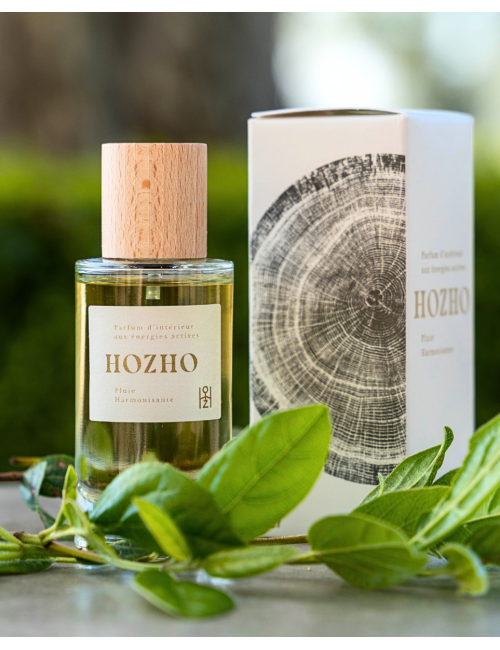 Pluie Harmonisante 50 ml