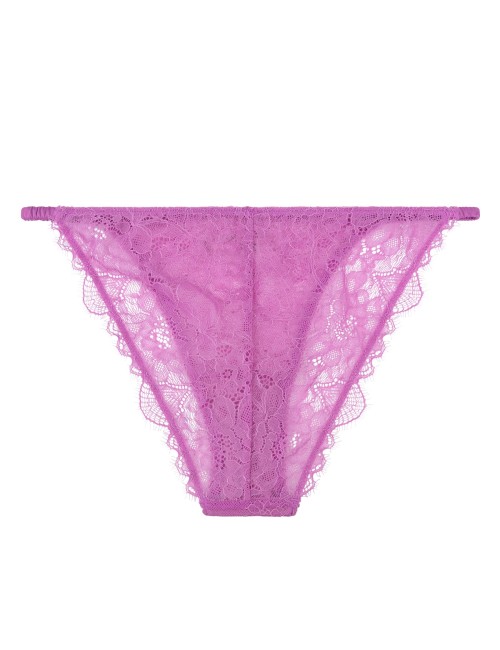 Wild Rosie Purple