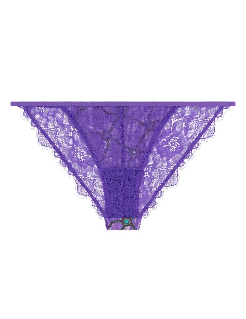 WILD ROSE Violet