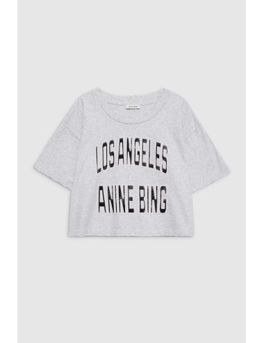 Tee-shirt cropped JOHNNY - Grey