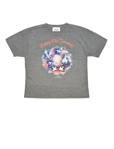 Tee-shirt JOURNEY - Grey