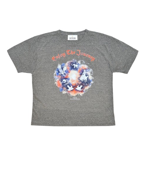 Tee-shirt JOURNEY - Grey