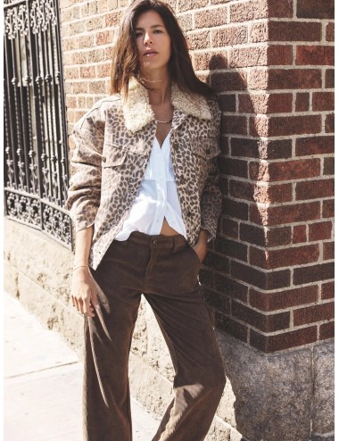 Pantalon SERRA - Brown Sable