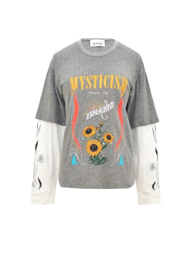 Tee-shirt SKATER - Gris