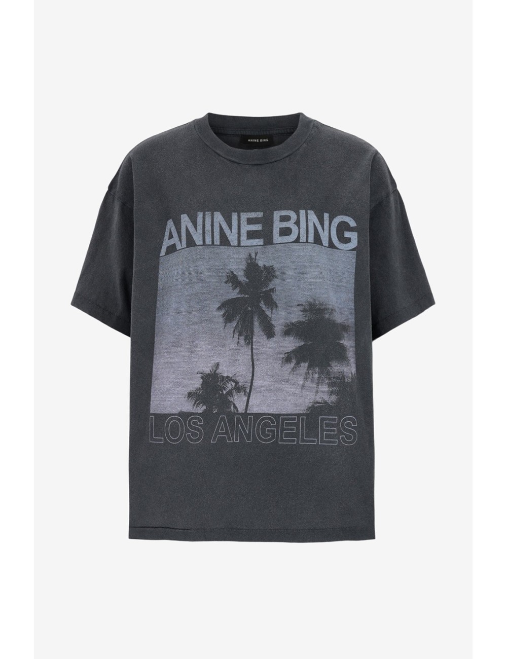 Tee-shirt CADE PALMS - Washed Grey