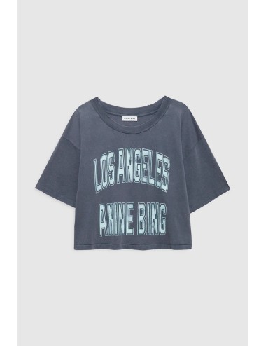 Tee-shirt cropped JOHNNY - Washed Grey