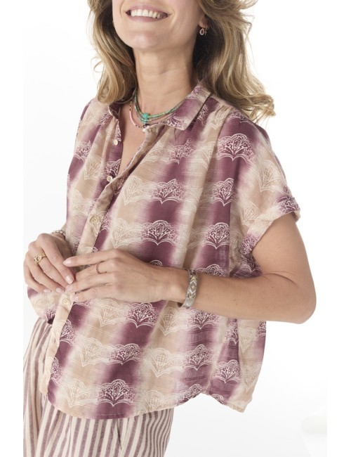 Chemise DAYTON - Shell Plum