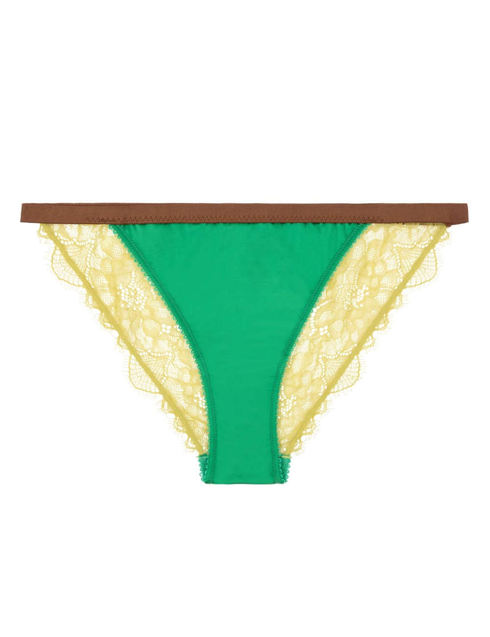 Slip en dentelle WILD ROSE - Vert