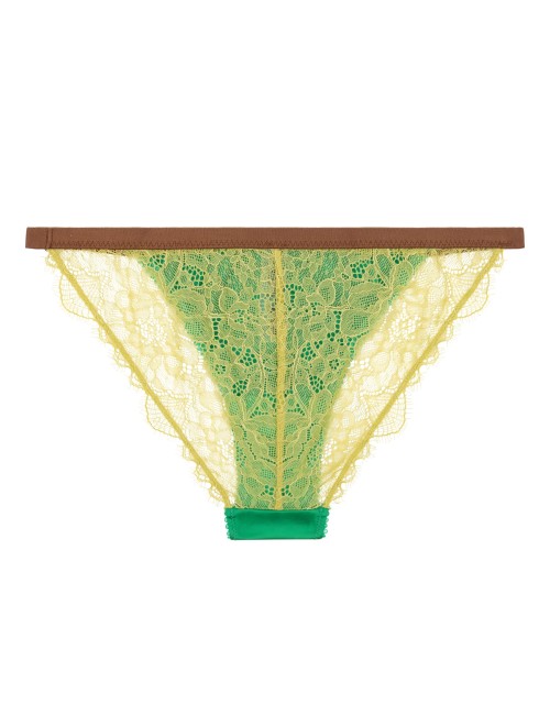 Slip en dentelle WILD ROSE - Vert
