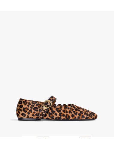 GINGER LEOPARD