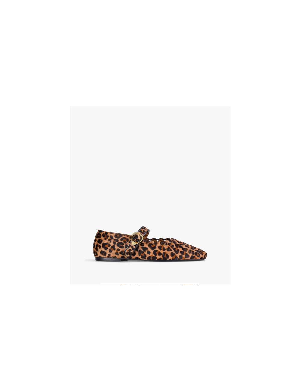 GINGER LEOPARD