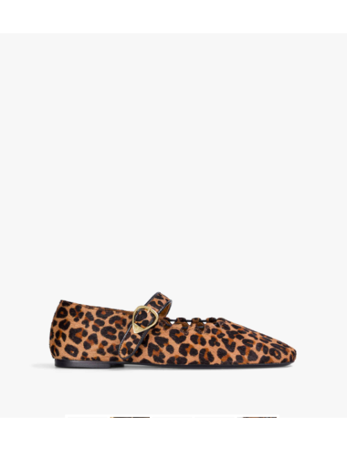 GINGER LEOPARD