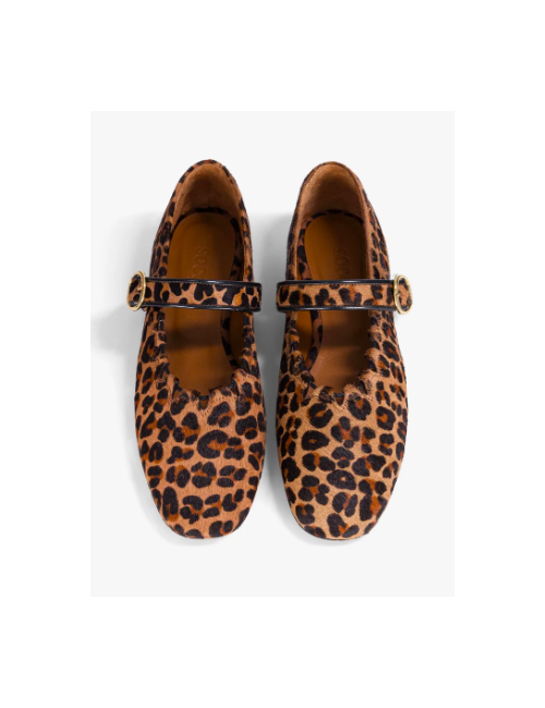 GINGER LEOPARD