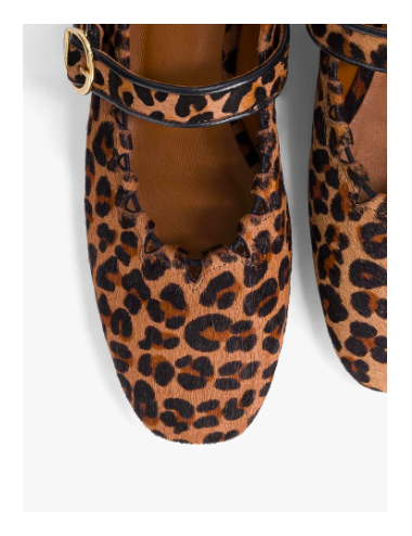 GINGER LEOPARD