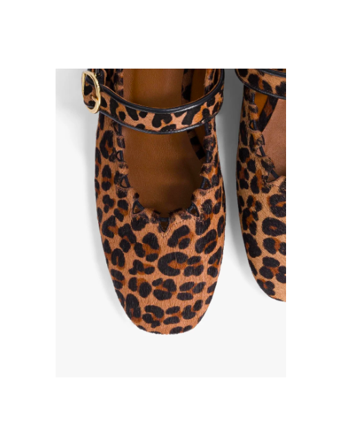 GINGER LEOPARD