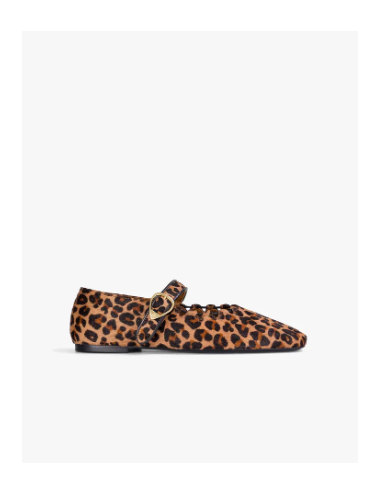 GINGER LEOPARD
