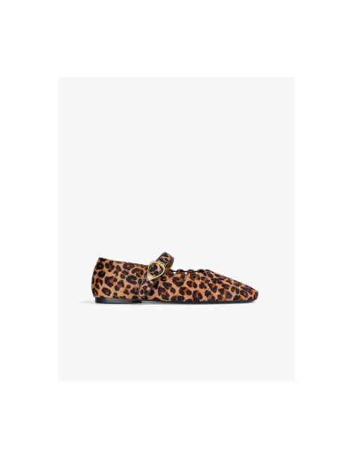 GINGER LEOPARD