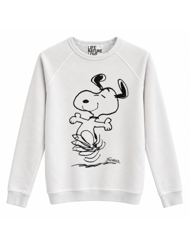 BASICGOOGDNESS SCHULZ SUPERVINTAGE YUMM RAGLAN